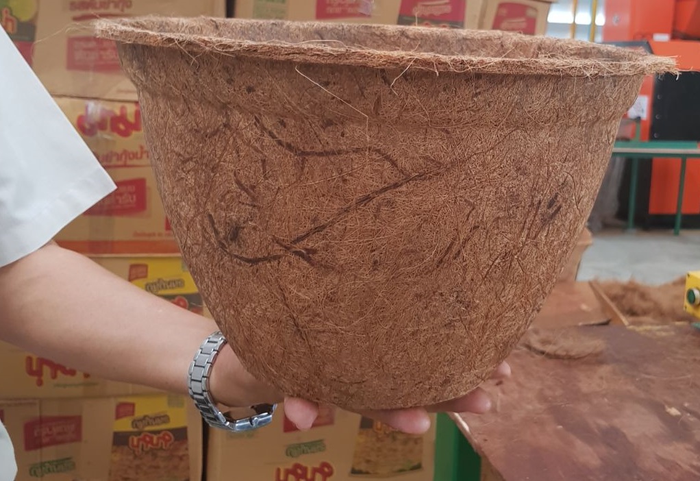 biodegradable tree pots