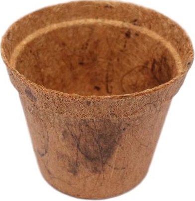 Biodegradable Flower Pot