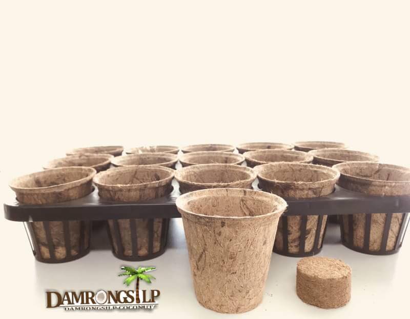 Biodegradable Pots with Coir tablet and tray