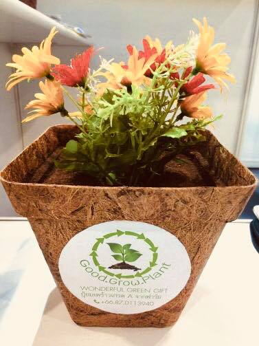 biodegradable plant pots