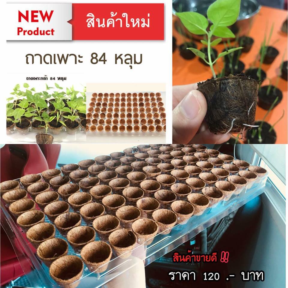 Biodegradable pots with trays wholesale