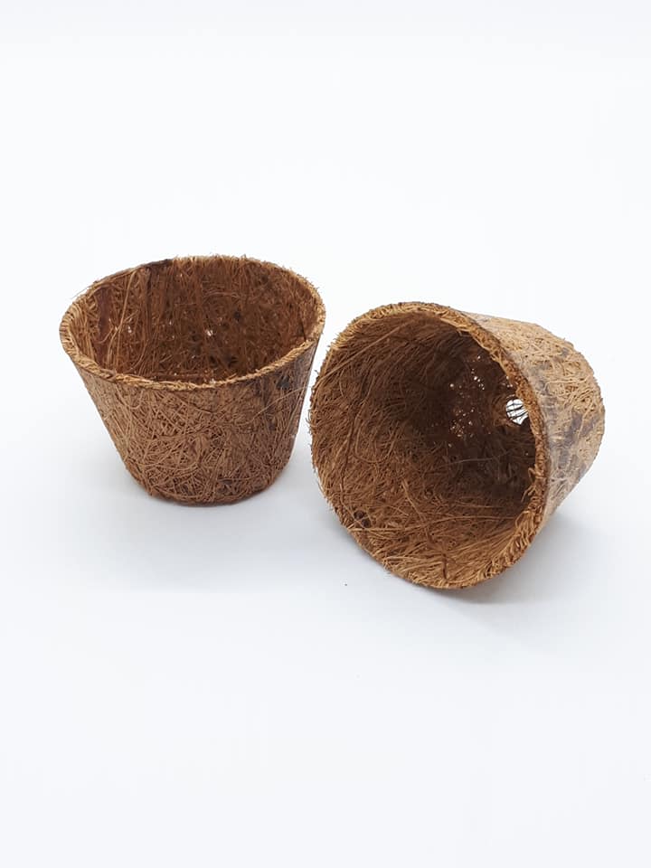 Biodegradable Mini Pots Wholesale