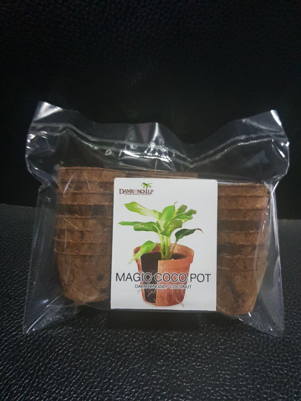 Mini Biodegradable Pots