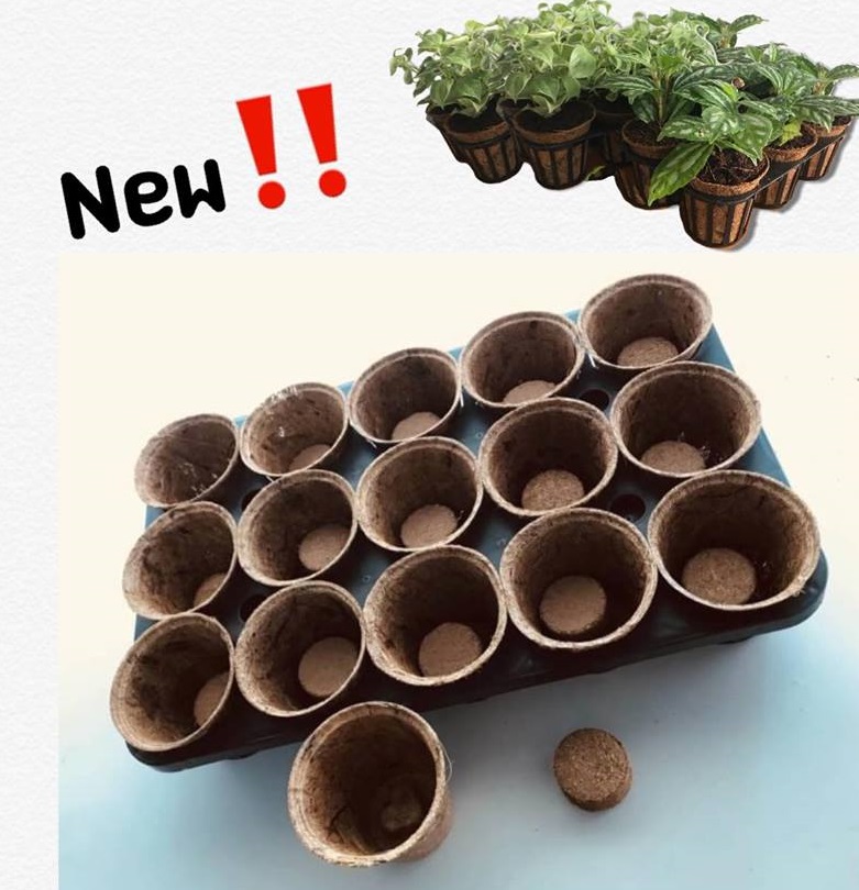 Biodegradable transplant pots
