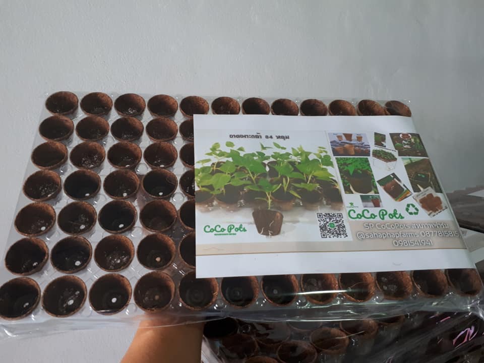 Biodegradable pots for seedlings (In Tray)
