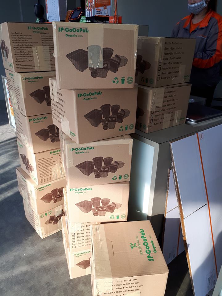 Coir Pots Wholesale