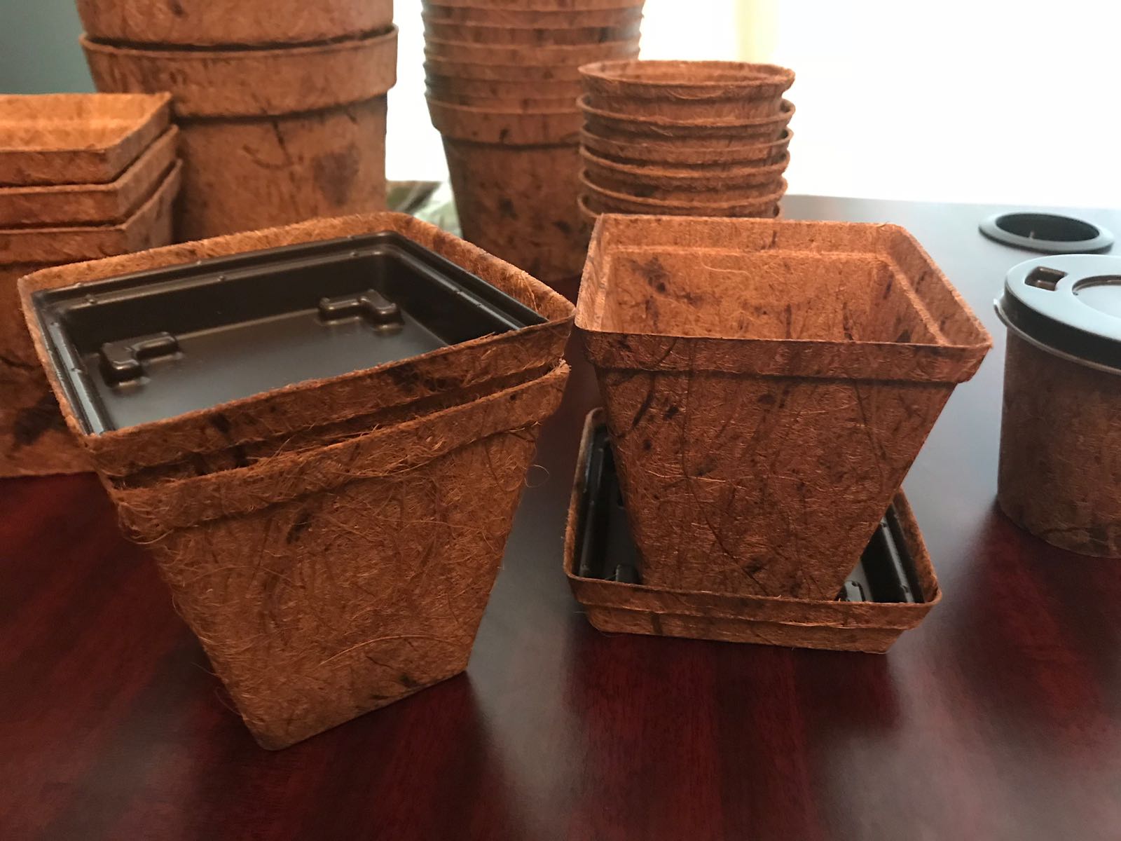 Herb pots with tray