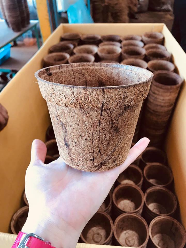 Coir Pots Wholesale & Bulk - Organic Flower Pots