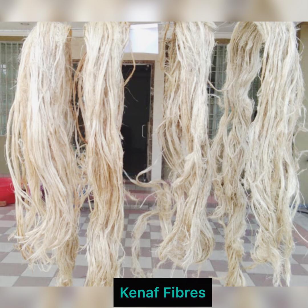 Kenaf fiber for sale