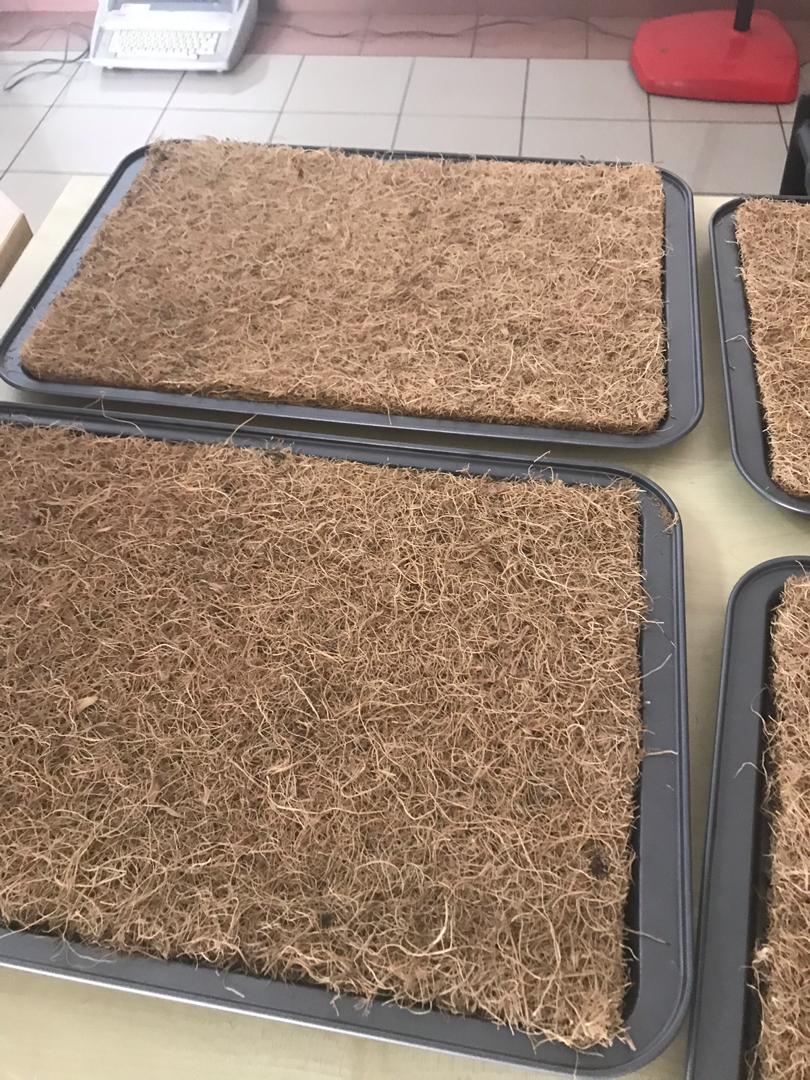 Coir fiber mat (coco grow mats) Bulk for rolls wholesale