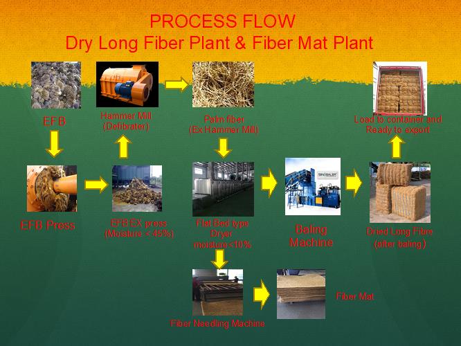 Palm fiber process