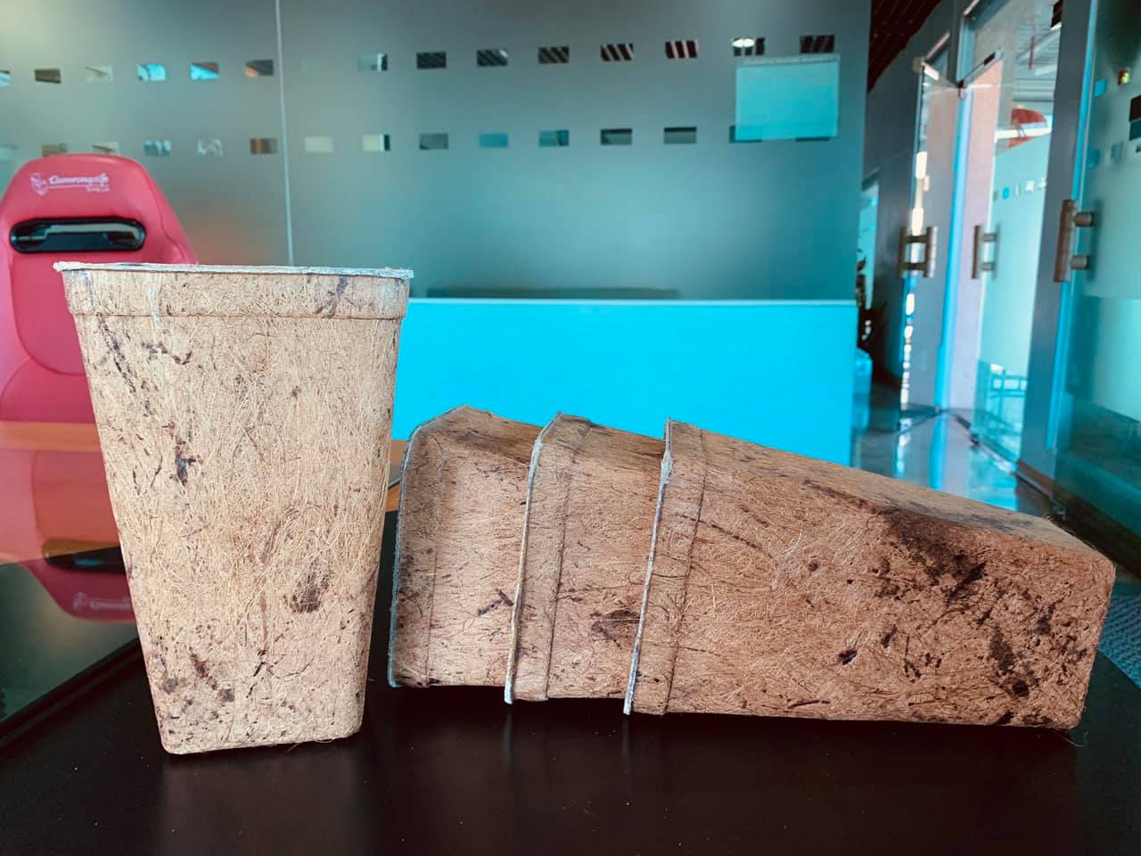 Rose pot plant Biodegradable Biodegradable and Compostable Pots