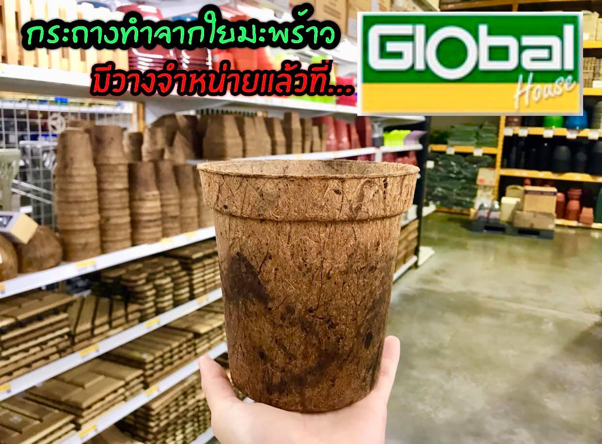 Global House Thailand, Coconut Pots, Coir Pots Biodegradable pots supermarket
