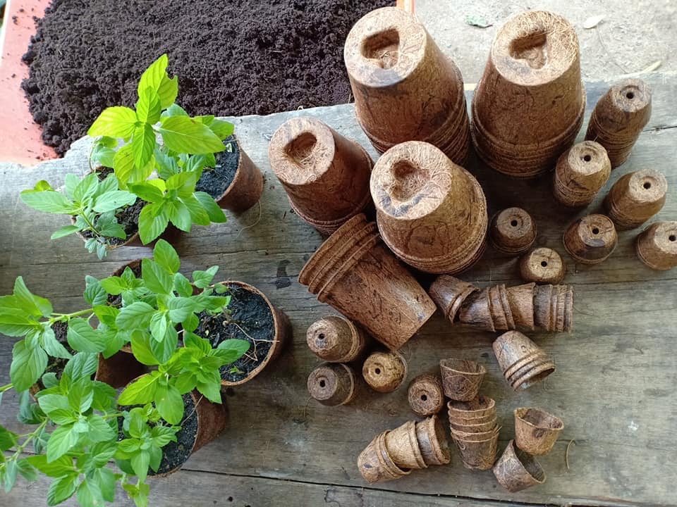 Biodegradable coir herb pots