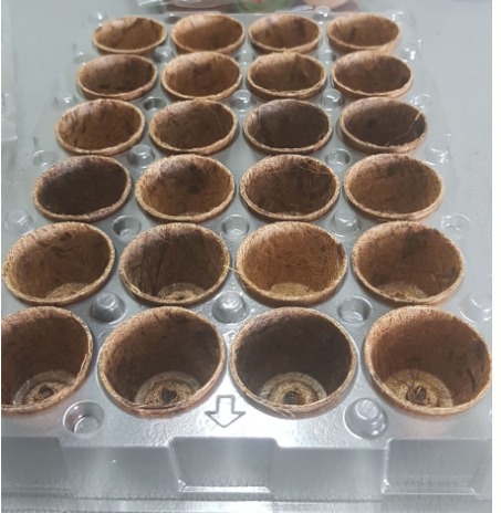 Plastic Tray for biodegradable pots