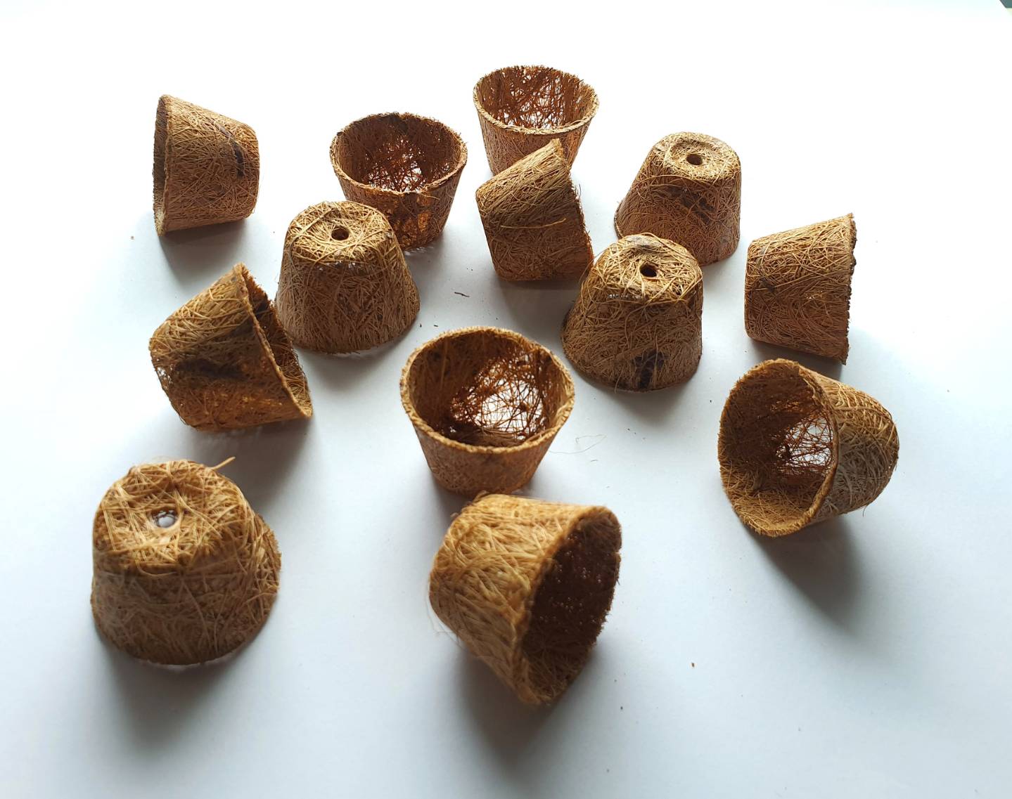 Biodegradable seed pots