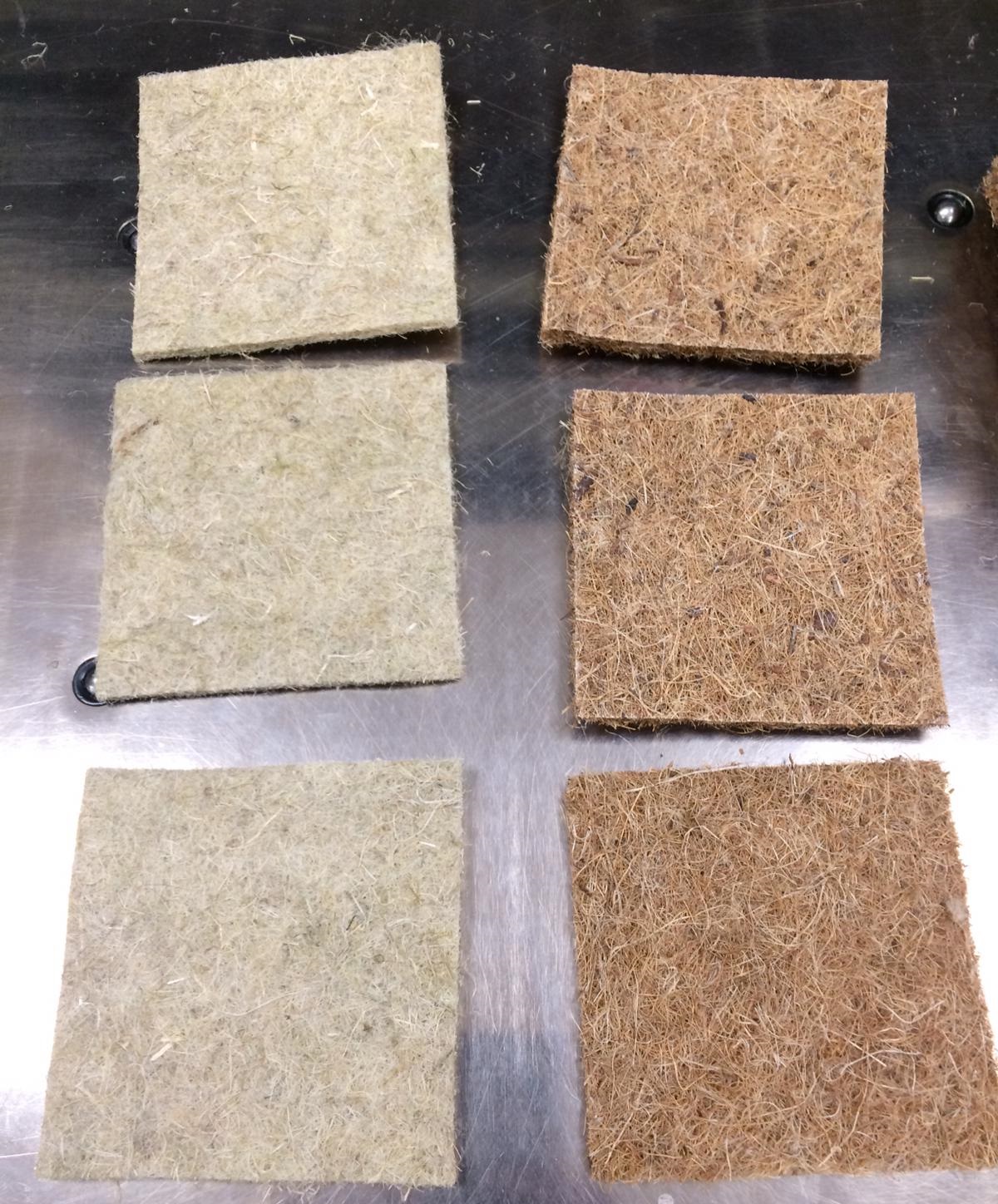 Squares of microgreen grow pads