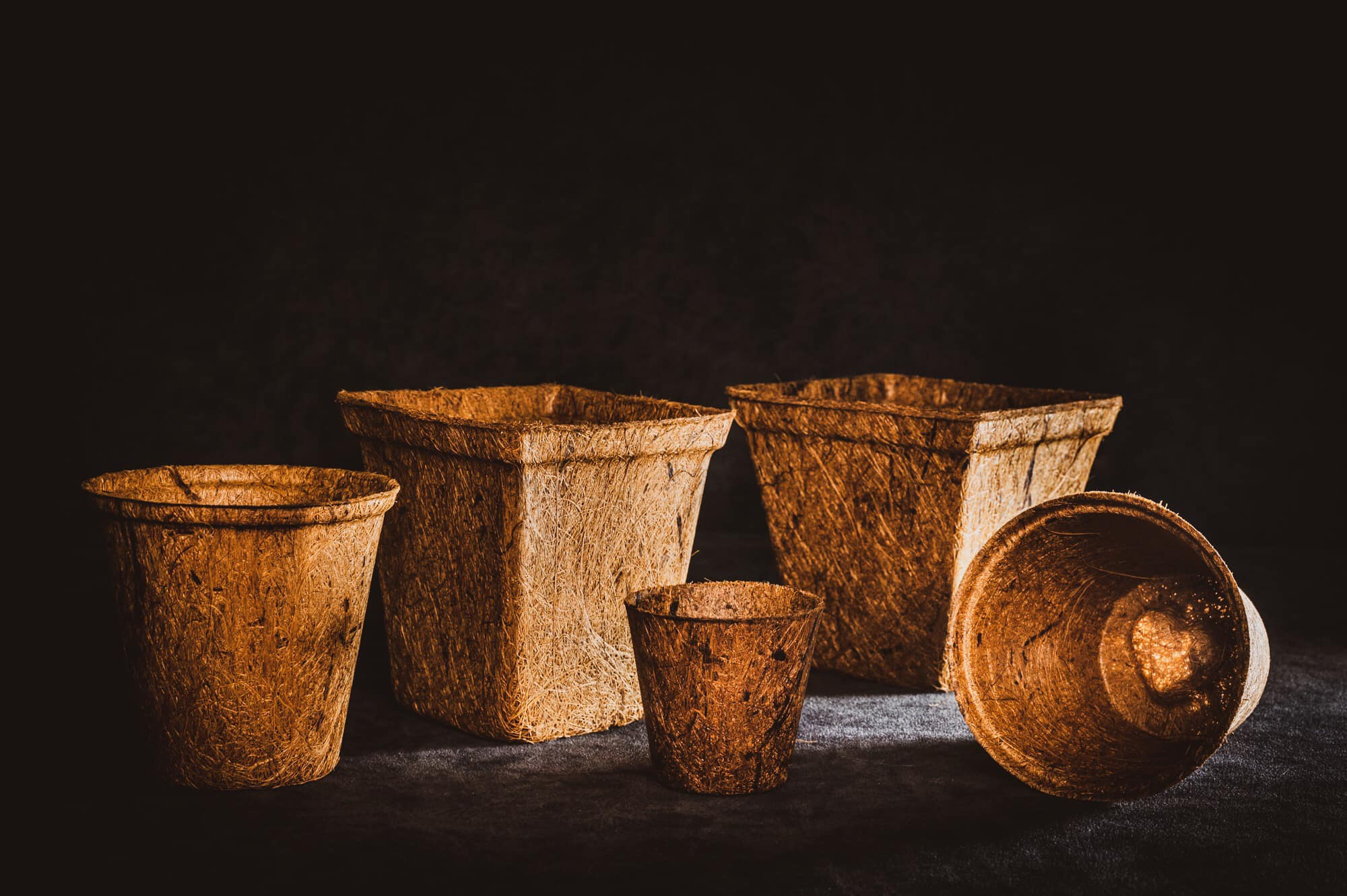 Forest pot biodegradable Biodegradable and Compostable Pots