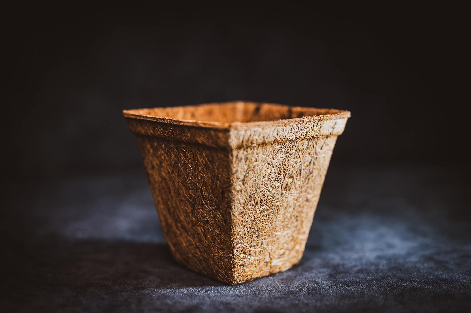 Forest pot biodegradable Biodegradable and Compostable Pots