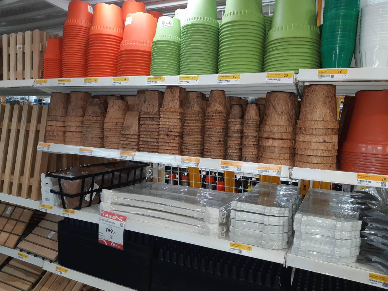 Buy biodegradable pots wholesale
