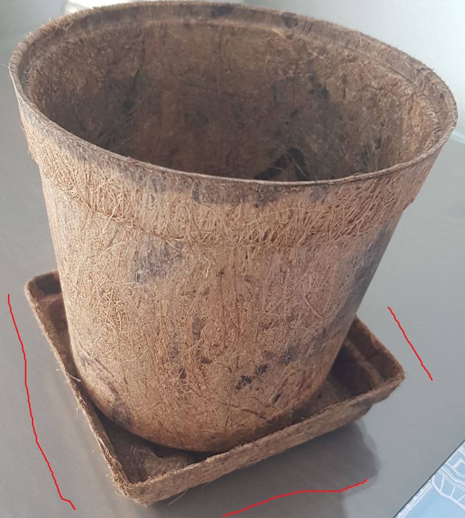 Biodegradable & Coir Pots Trays