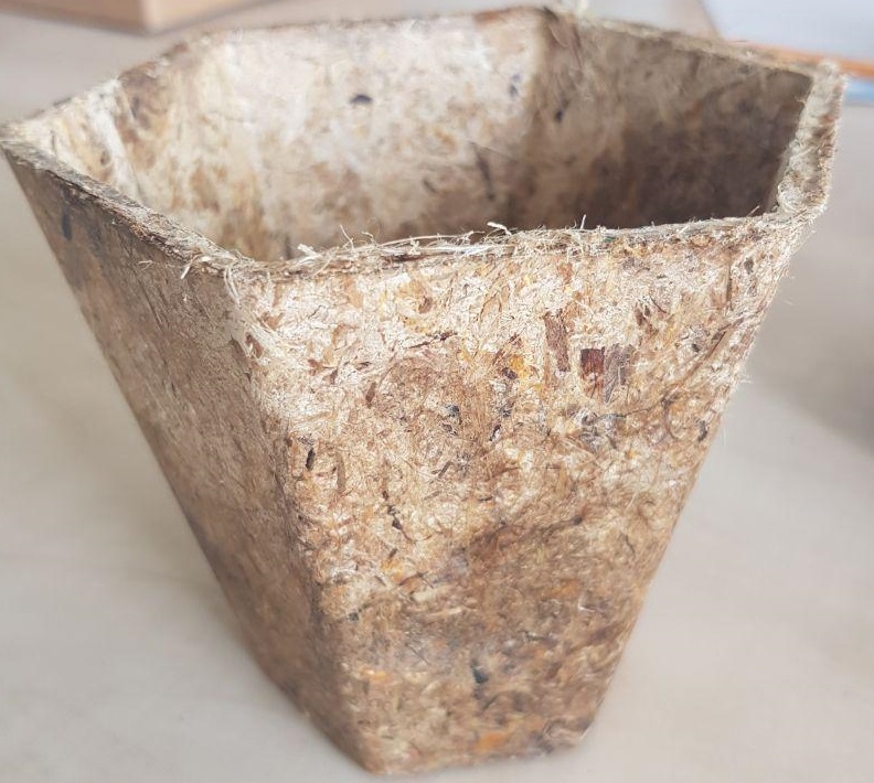 Biodegradable pet urn tree