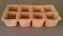 Biodegradable Trays