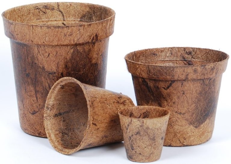 Coco coir seed starter pots Biodegradable and Compostable Pots