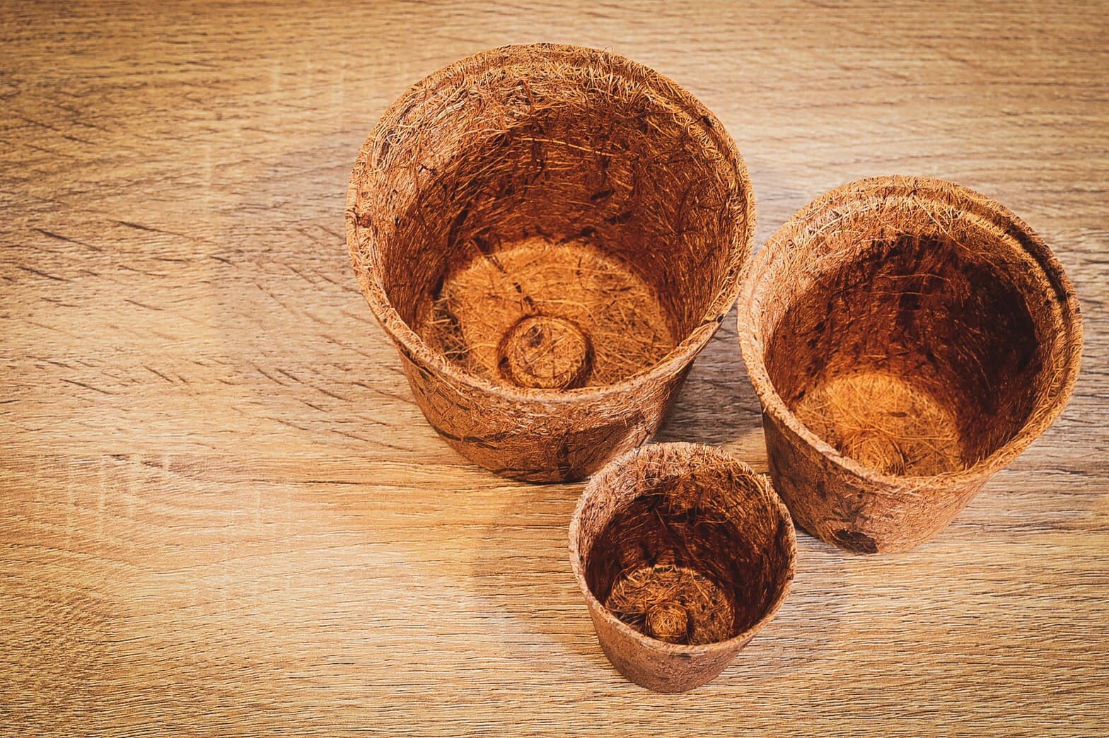 Biodegradable Pots for roses, hydroponics and herbs Biodegradable and