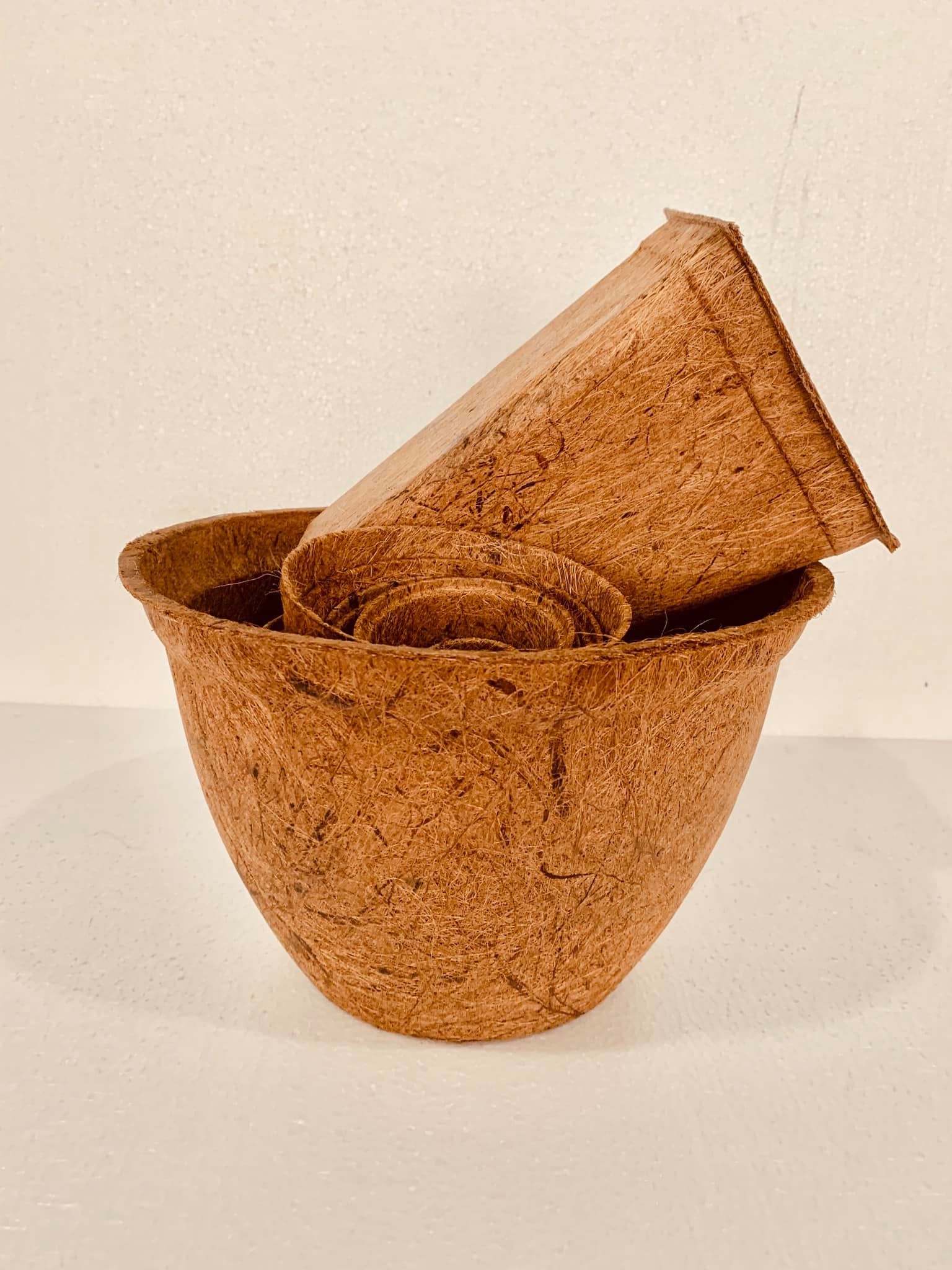 planting-in-pot-without-holes-biodegradable-and-compostable-pots