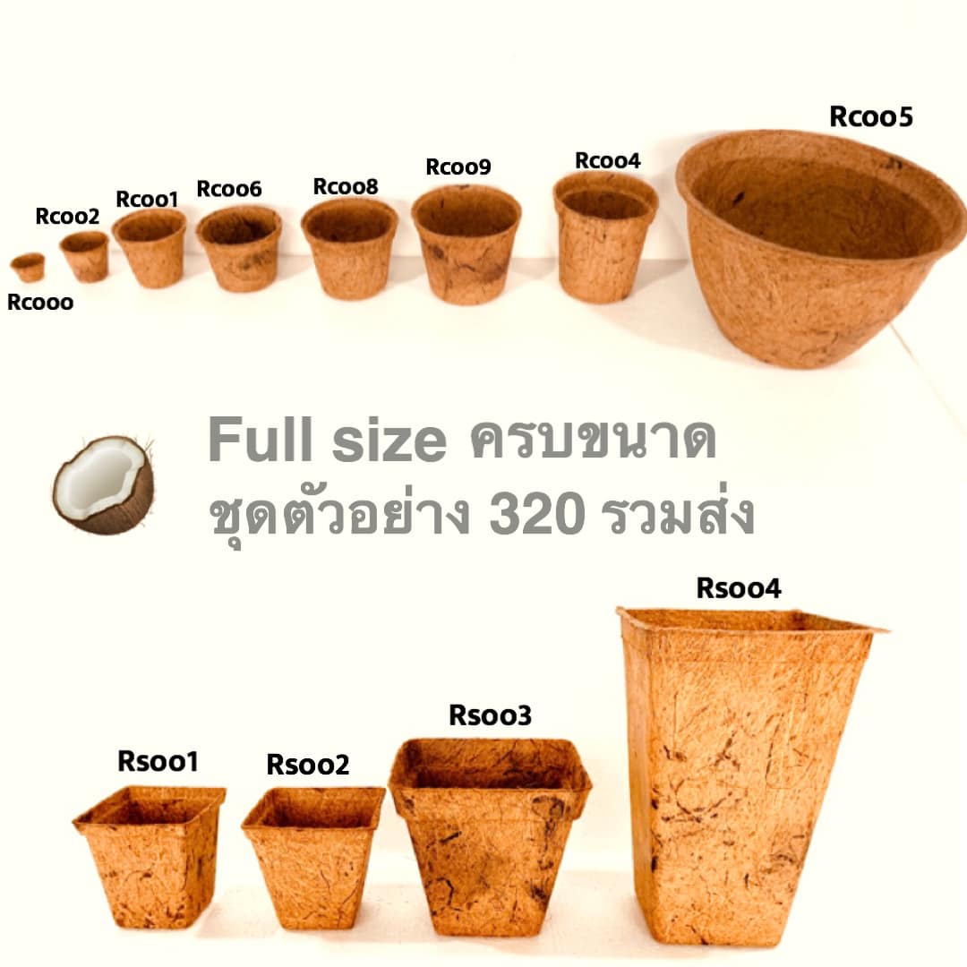 Biodegradable Pots for roses, hydroponics and herbs Biodegradable and Compostable Pots