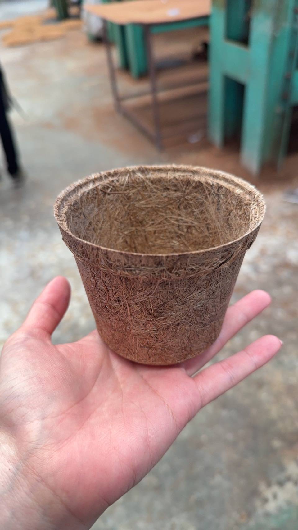 Bio Pots made from palm fibre